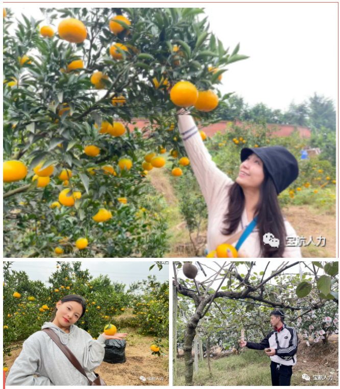 寶航人力集團管理層團建活動